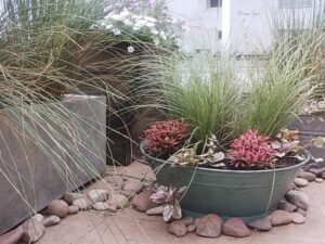 Copia de 29654_102383726476704_6061594_n