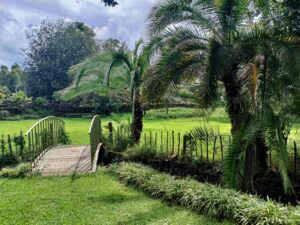 ezekiel-kilimo-lTxfrRh9LIA-unsplash