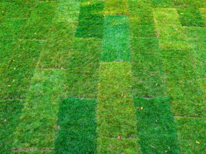 sebastian-schuster-pq7Djjn-AtY-unsplash